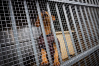 Ennek a képnek nincs leírása.