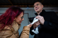 Ennek a képnek nincs leírása.