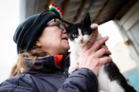 Ennek a képnek nincs leírása.