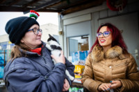 Ennek a képnek nincs leírása.