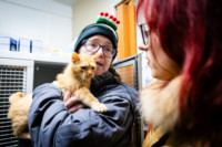 Ennek a képnek nincs leírása.