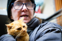 Ennek a képnek nincs leírása.