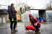 Ennek a képnek nincs leírása.