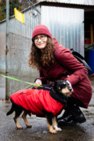 Ennek a képnek nincs leírása.