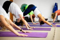 Ennek a képnek nincs leírása.