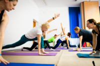 Ennek a képnek nincs leírása.