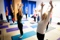 Ennek a képnek nincs leírása.