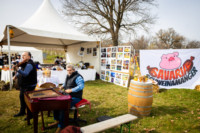 Ennek a képnek nincs leírása.