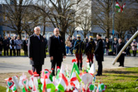 Ennek a képnek nincs leírása.