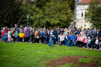 Ennek a képnek nincs leírása.