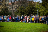 Ennek a képnek nincs leírása.