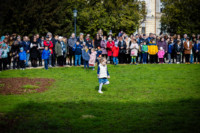 Ennek a képnek nincs leírása.