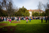 Ennek a képnek nincs leírása.