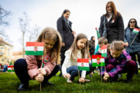 Ennek a képnek nincs leírása.