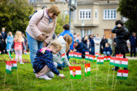 Ennek a képnek nincs leírása.