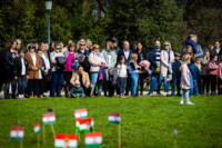 Ennek a képnek nincs leírása.