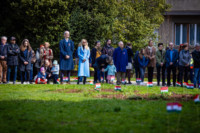 Ennek a képnek nincs leírása.