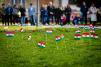 Ennek a képnek nincs leírása.