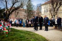 Ennek a képnek nincs leírása.