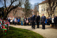 Ennek a képnek nincs leírása.