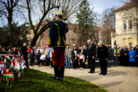 Ennek a képnek nincs leírása.