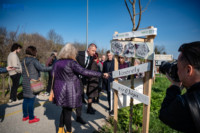 Ennek a képnek nincs leírása.