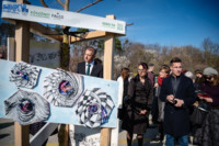 Ennek a képnek nincs leírása.