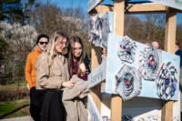 Ennek a képnek nincs leírása.