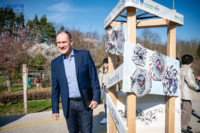 Ennek a képnek nincs leírása.