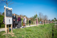 Ennek a képnek nincs leírása.