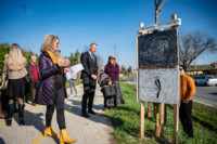 Ennek a képnek nincs leírása.