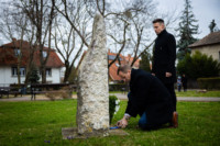 Ennek a képnek nincs leírása.