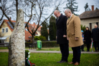 Ennek a képnek nincs leírása.