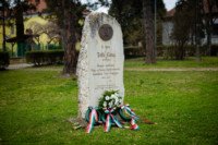 Ennek a képnek nincs leírása.