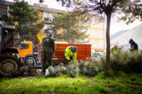 Ennek a képnek nincs leírása.