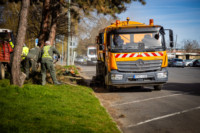 Ennek a képnek nincs leírása.