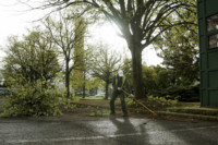 Ennek a képnek nincs leírása.