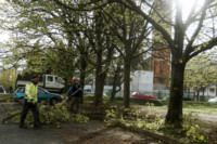 Ennek a képnek nincs leírása.