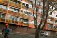 Ennek a képnek nincs leírása.