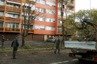 Ennek a képnek nincs leírása.