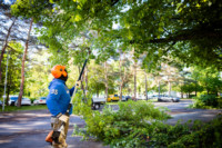 Cím nélküli előnézeti kép. Ennek a képnek nincs leírása.