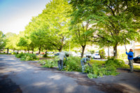 Cím nélküli előnézeti kép. Ennek a képnek nincs leírása.