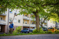 Ennek a képnek nincs leírása.