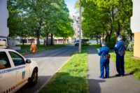 Ennek a képnek nincs leírása.