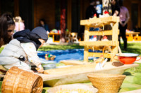 Ennek a képnek nincs leírása.