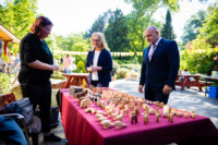 Ennek a képnek nincs leírása.