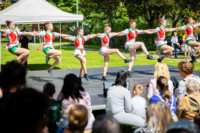 Ennek a képnek nincs leírása.