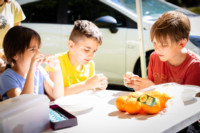 Ennek a képnek nincs leírása.