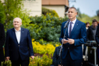 Ennek a képnek nincs leírása.