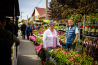 Ennek a képnek nincs leírása.
